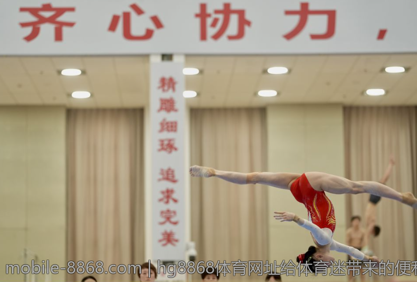 hg8868体育网址给体育迷带来的便利与乐趣