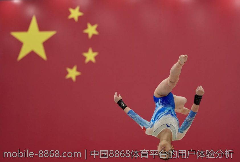 中国8868体育平台的用户体验分析