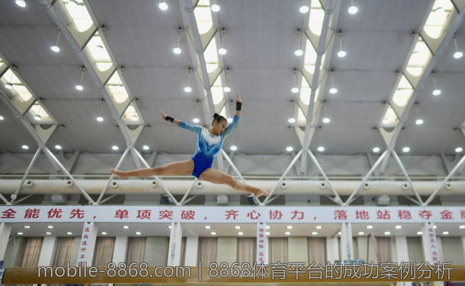 8868体育平台的成功案例分析