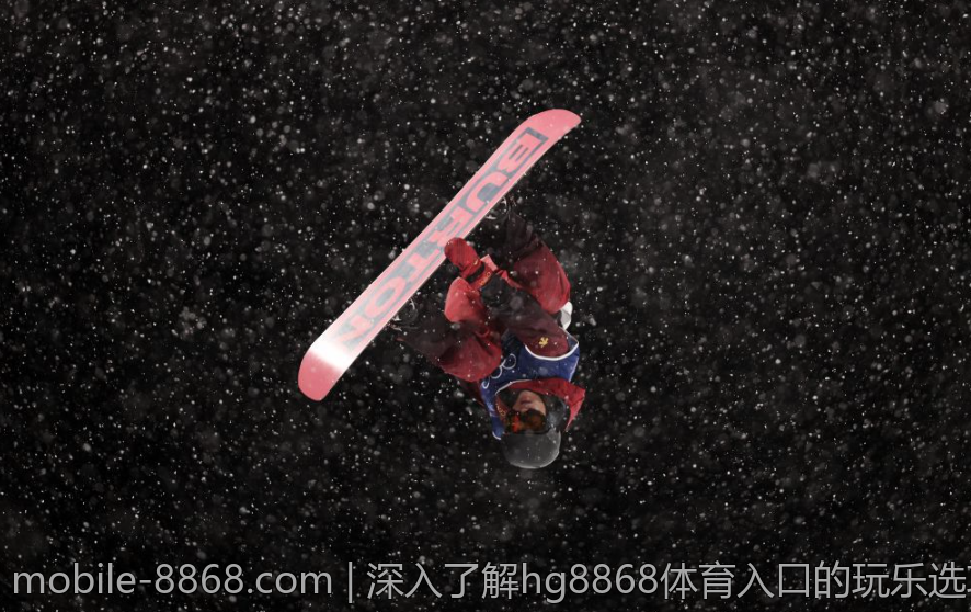 深入了解hg8868体育入口的玩乐选项